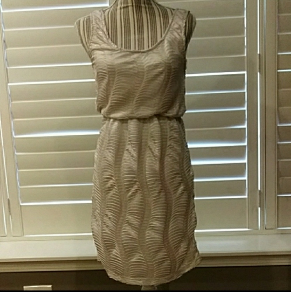Alice Moon Gold Shimmer Dress